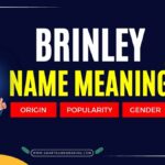 brinley name meaning