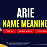 name arie meaning
