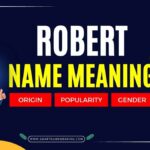 robert name meaning