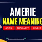 Amerie Name Meaning