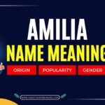 Amilia Name Meaning