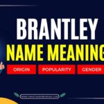 Brantley Name Meaning