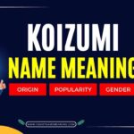 Koizumi Name Meaning