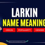 Larkin Name Meaning