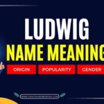 Ludwig Name Meaning