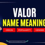 Valor Name Meaning