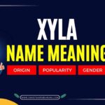Xyla Name Meaning