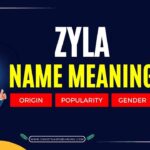 Zyla Name Meaning